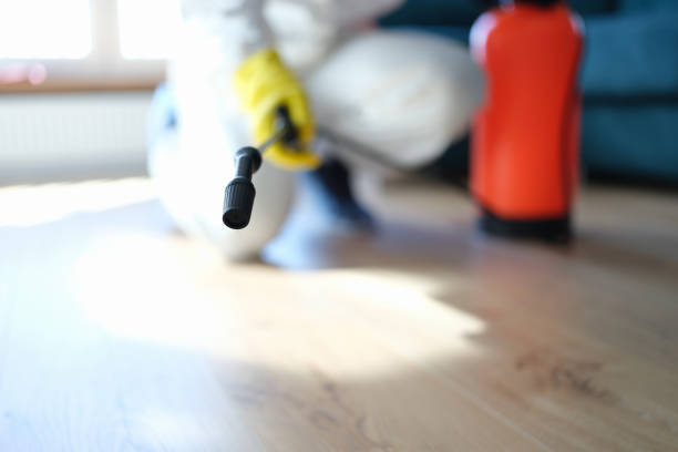 Best Mold Prevention Services  in Garden Grove, FL